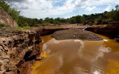 Las emergencias hidroecológicas en la Cuenca del Río Sonora más allá de Grupo México