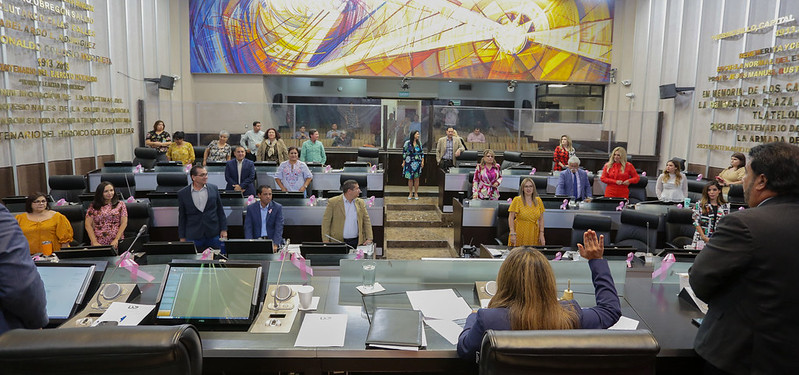 Aprueban Ley de Servicio del Profesional de Carrera