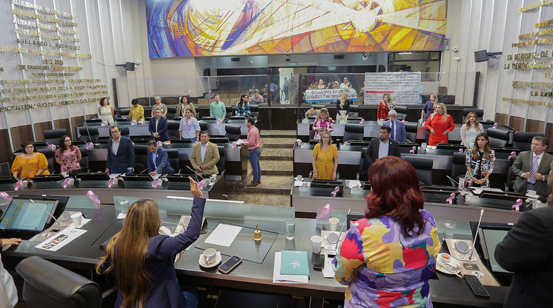 53252182839_2f5f1c6804_c