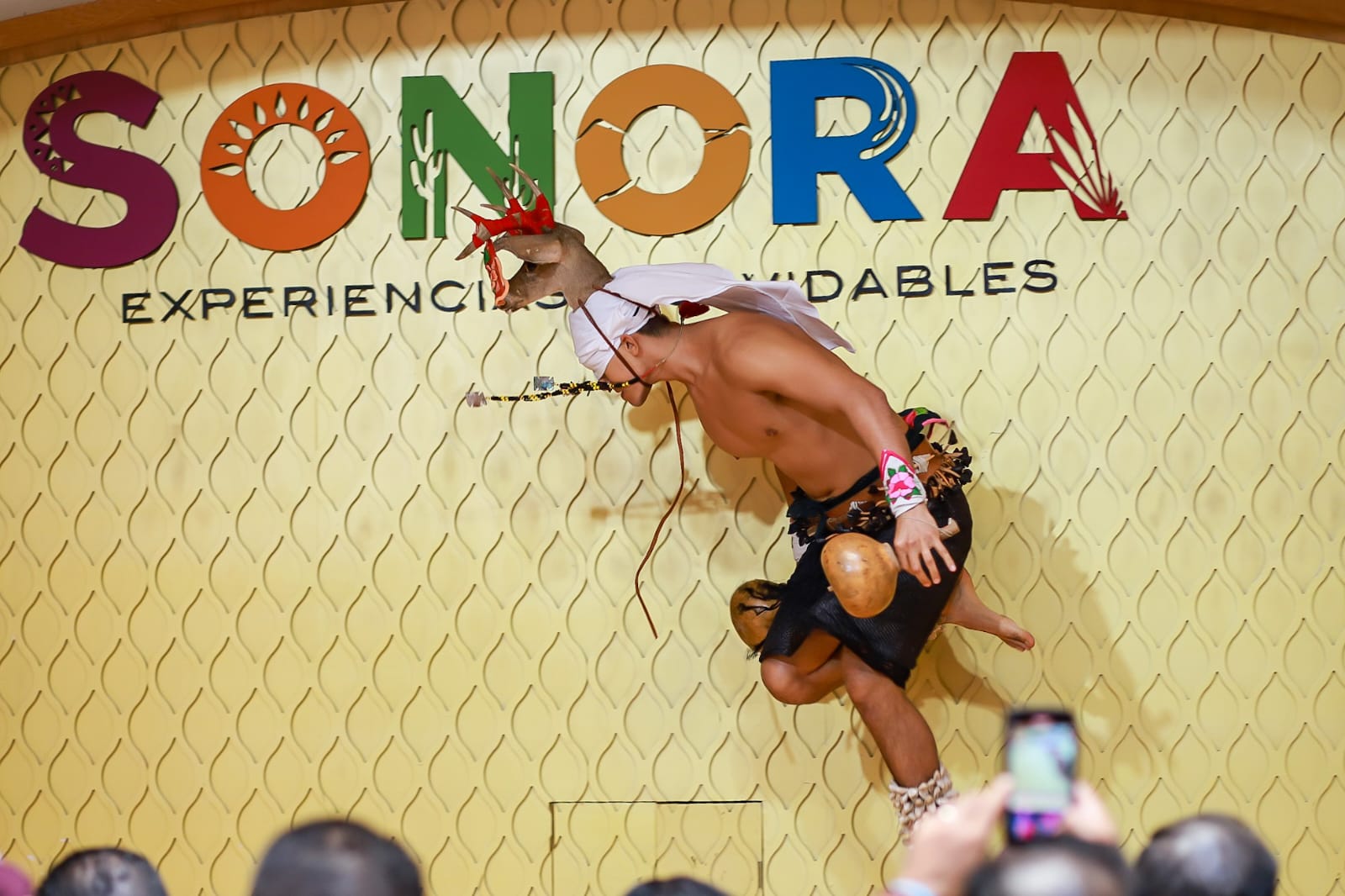 Casa Sonora Foto_Edoardo Esparza (1)