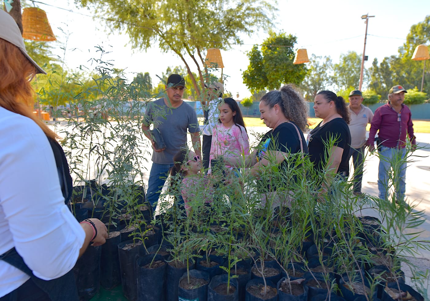 Responden hermosillenses a jornada “Yo Planto Nativo” (2)