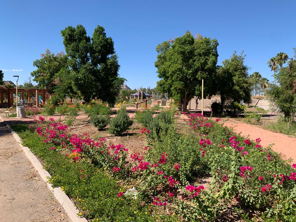 WhatsApp Image 2023-10-25 at 12.53.03 (8)