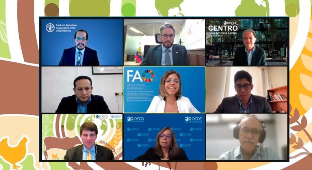 FAO y la OCDE presentan las Perspectivas Agrícolas 2023-2032
