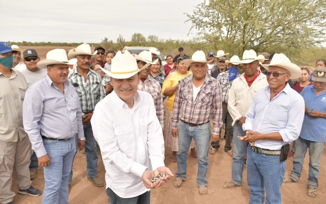 Exportación agrícola de Sonora es la segunda a nivel nacional