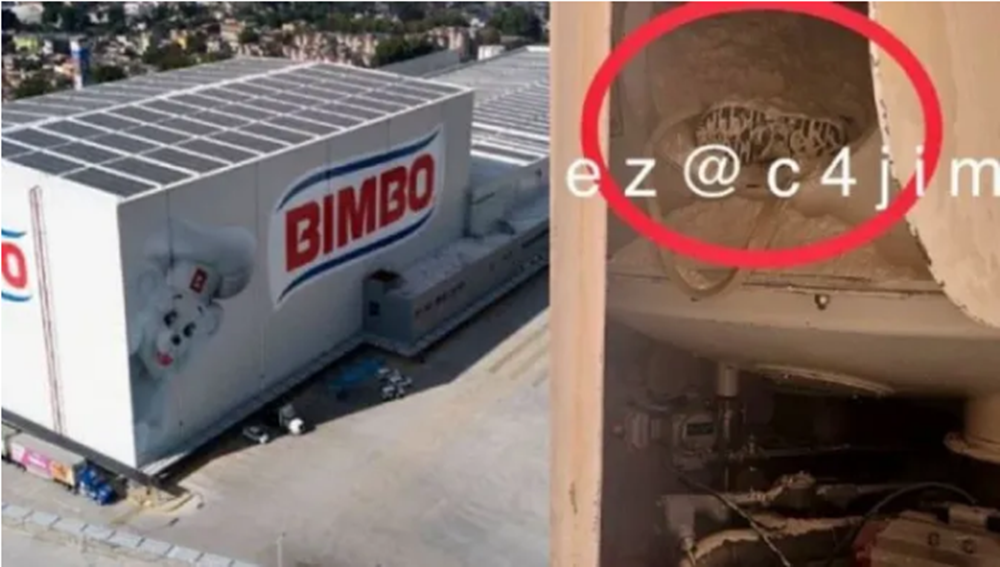 ¿Qué le pasó al trabajador encontrado muerto en el contendor de harina de BIMBO?