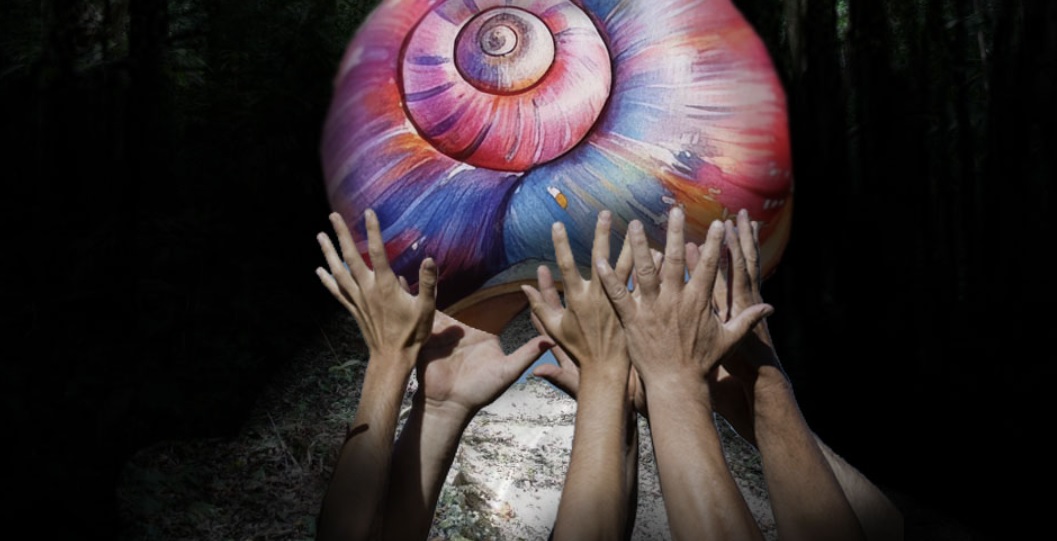 Novena Parte: La Nueva Estructura de la Autonomía Zapatista.