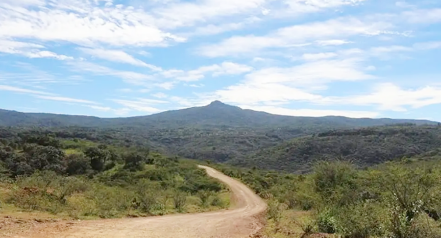 Clausura PROFEPA 50 has a empresas en la Sierra de Quila letra fr+ia