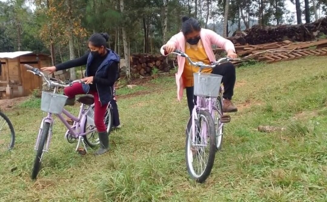 Onceava Parte: Mientras tanto, en las montañas del sureste mexicano…