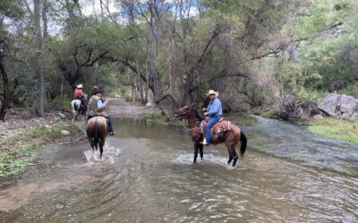 LA HISTORIA NO DEJA DE ENSEÑARNOS: TRINCHERAS Y COCÓSPERA, UNA SIMBIOSIS AMBIENTAL Y CULTURAL