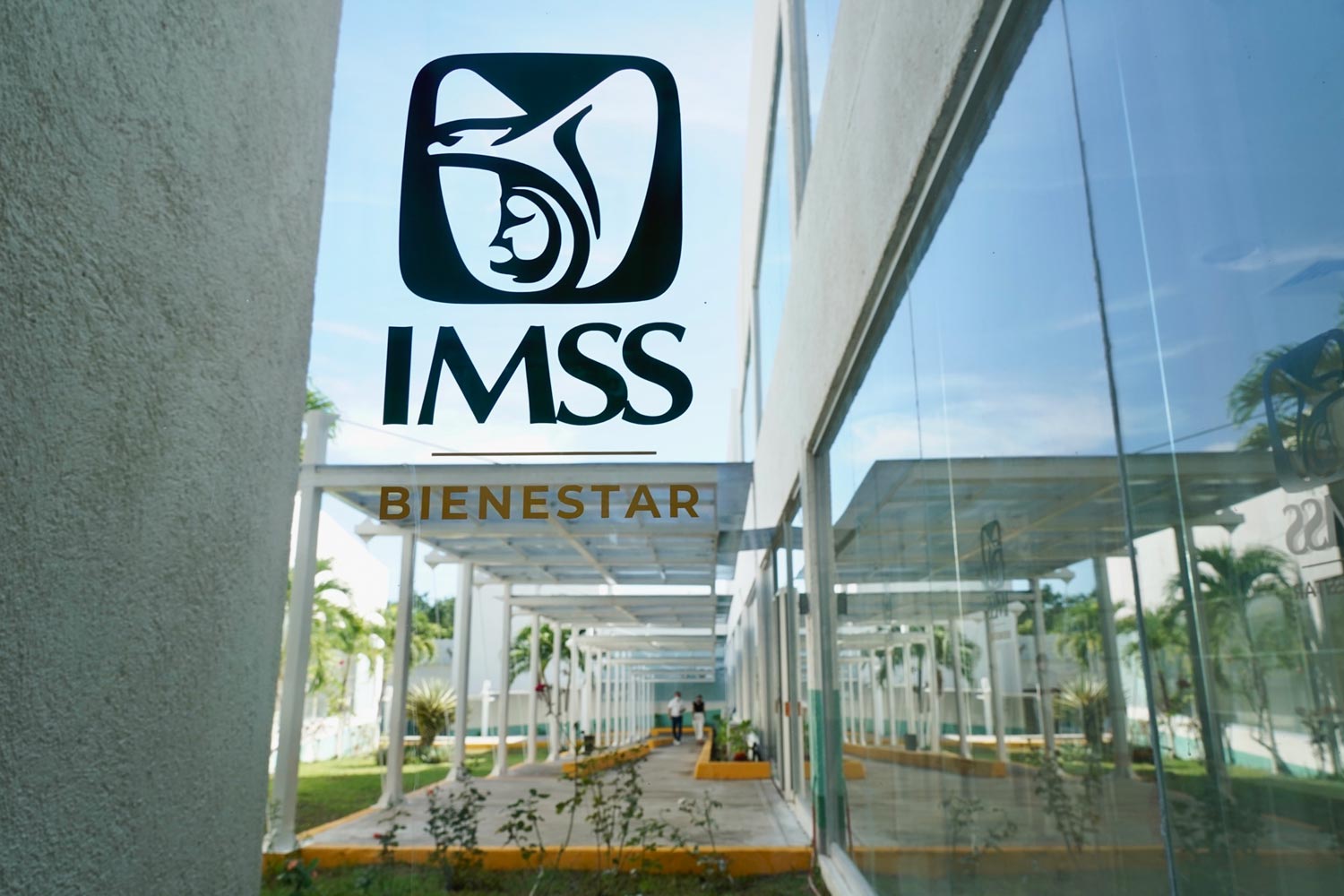Imss b