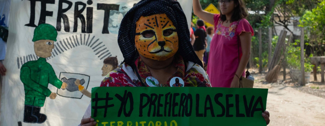 Desafíos ambientales de México en 2024: proteger a las personas defensoras en un año dominado por el tema electoral