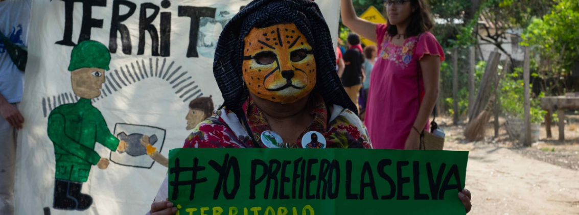 Desafíos Ambientales De México En 2024 Proteger A Las Personas