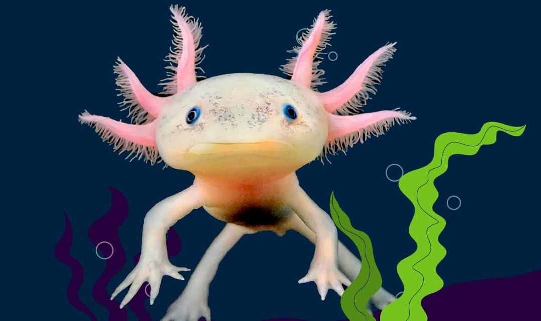 272861499_5210990488931550_3448448866968328388_n