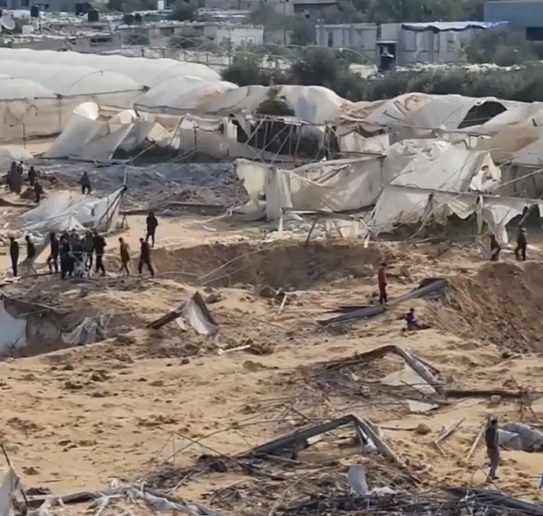 En las guerras emerge lo peor… y lo mejor. Entrevista con Rowena Bali sobre Gaza.