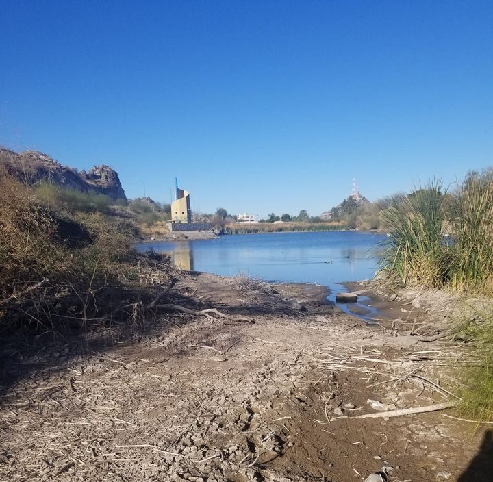 Cuatro años de jornadas de limpieza y reforestación en La Sauceda 429484864_394050339901091_4781786970717271225_n