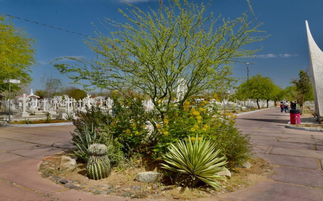 Jardín Polinizador “Artemisa” en el Panteón Yáñez es una realidad