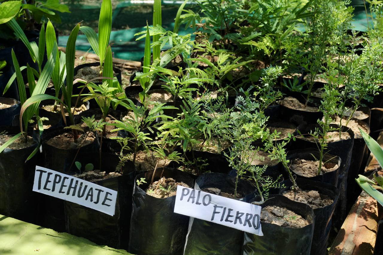 448001192_848744427287424_2359218860724125602_n