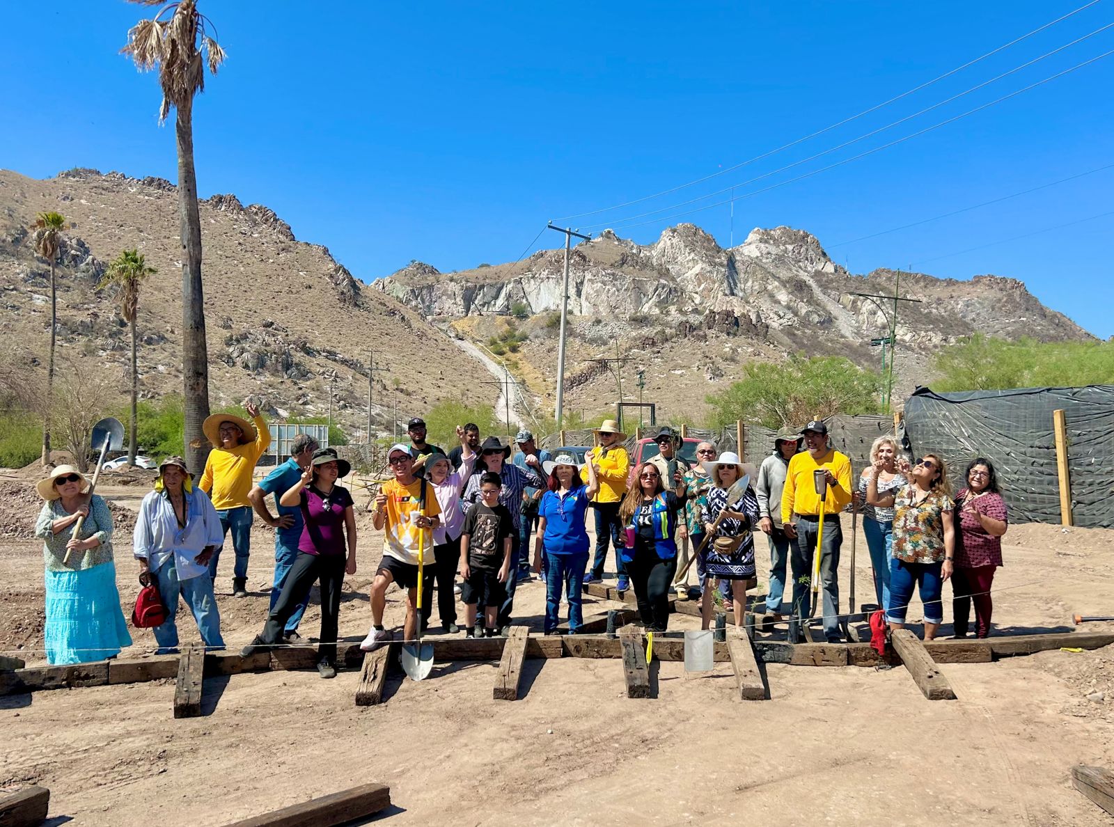 WhatsApp Image 2024-06-24 at 11.01.44