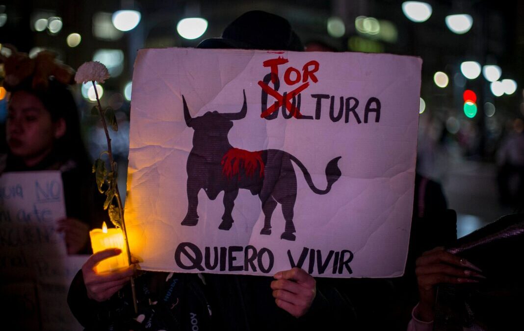 El movimiento animalista, una lucha por el reconocimiento, los derechos y la igualdad entre especies