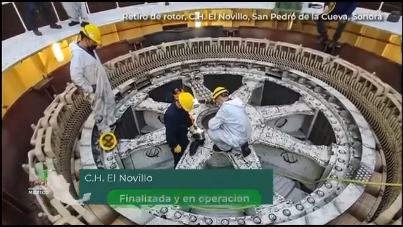 el novillo