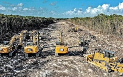 En materia ambiental la 4T ha sido un fracaso que amenaza continuar