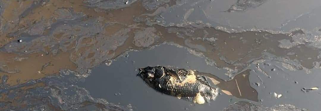 Sin atención, derrame de hidrocarburos en el Totonacapan de Veracruz