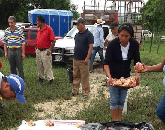 Mancomún: Una práctica ancestral que promueve la equidad y la cooperación en Chiapas