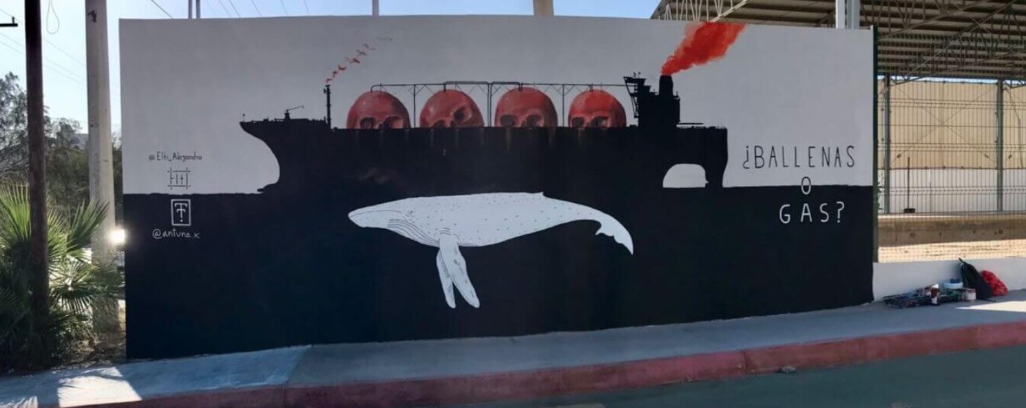 ballenas