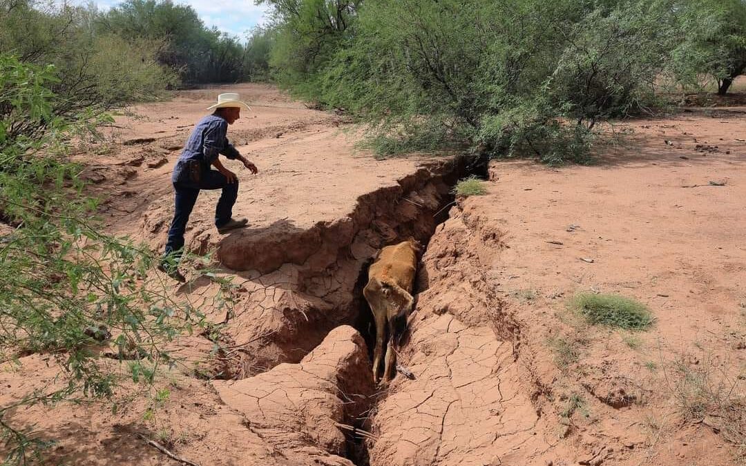 “Las grietas en la Costa de Hermosillo no son sísmicas, son por falta de agua en los acuíferos”