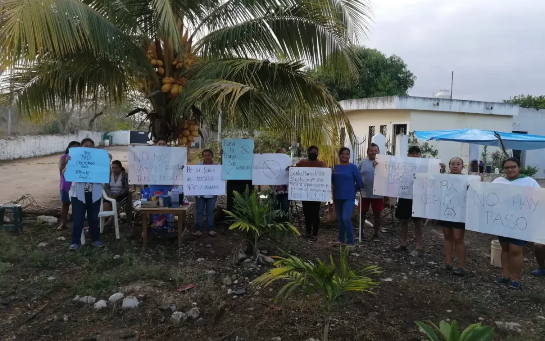 Exigen detener la criminalización de Wilberth Nahuat Puc, líder maya y defensor ambiental en Yucatán