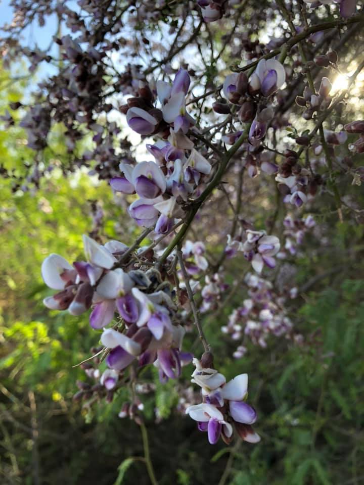 177860735_2991109361136581_8933428005414454212_n