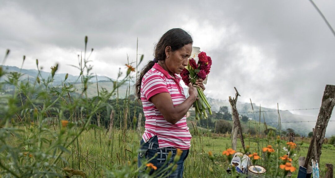 Pueblos indígenas en 2024: la violencia fue constante para los defensores y sus territorios en la región