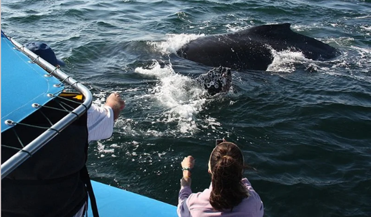 capture-20250115-133801