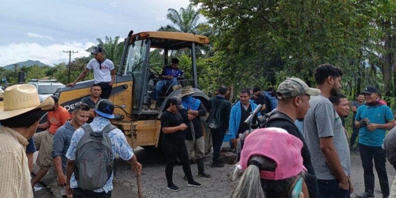 Bajo Aguán: Recrudecen ataques de grupos armados ligados a industria de palma aceitera