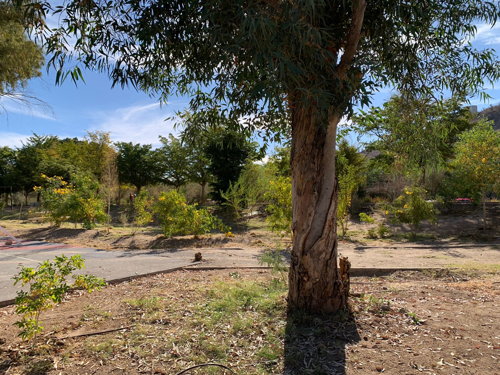 WhatsApp Image 2025-02-12 at 19.36.15