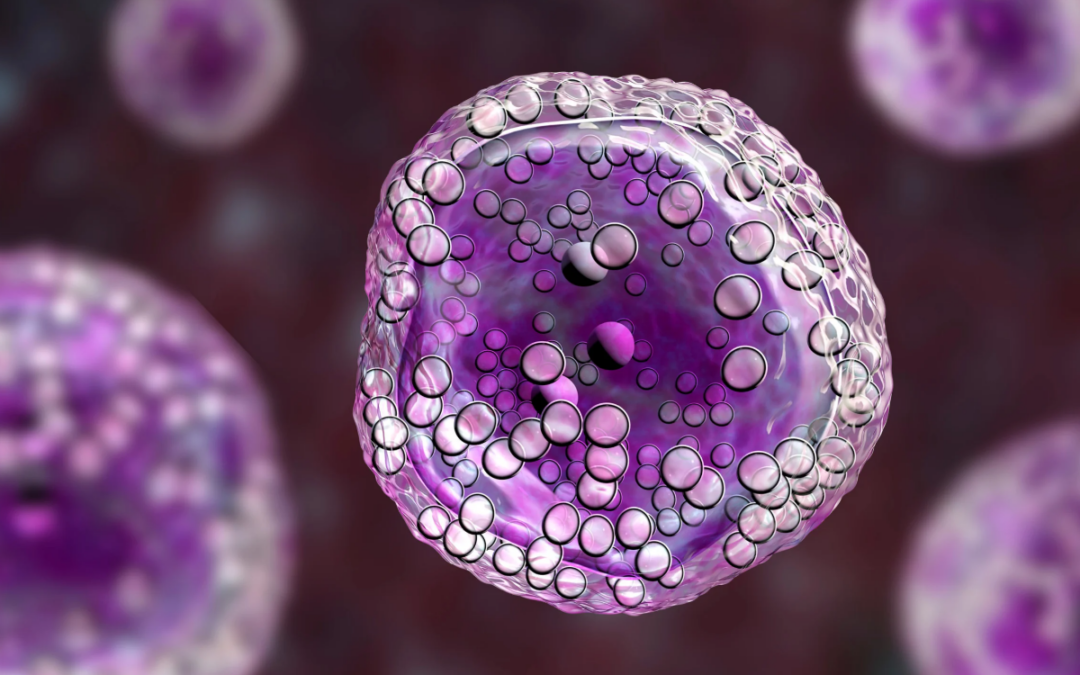 Nuevo algoritmo identifica células inmunitarias específicas contra el cáncer