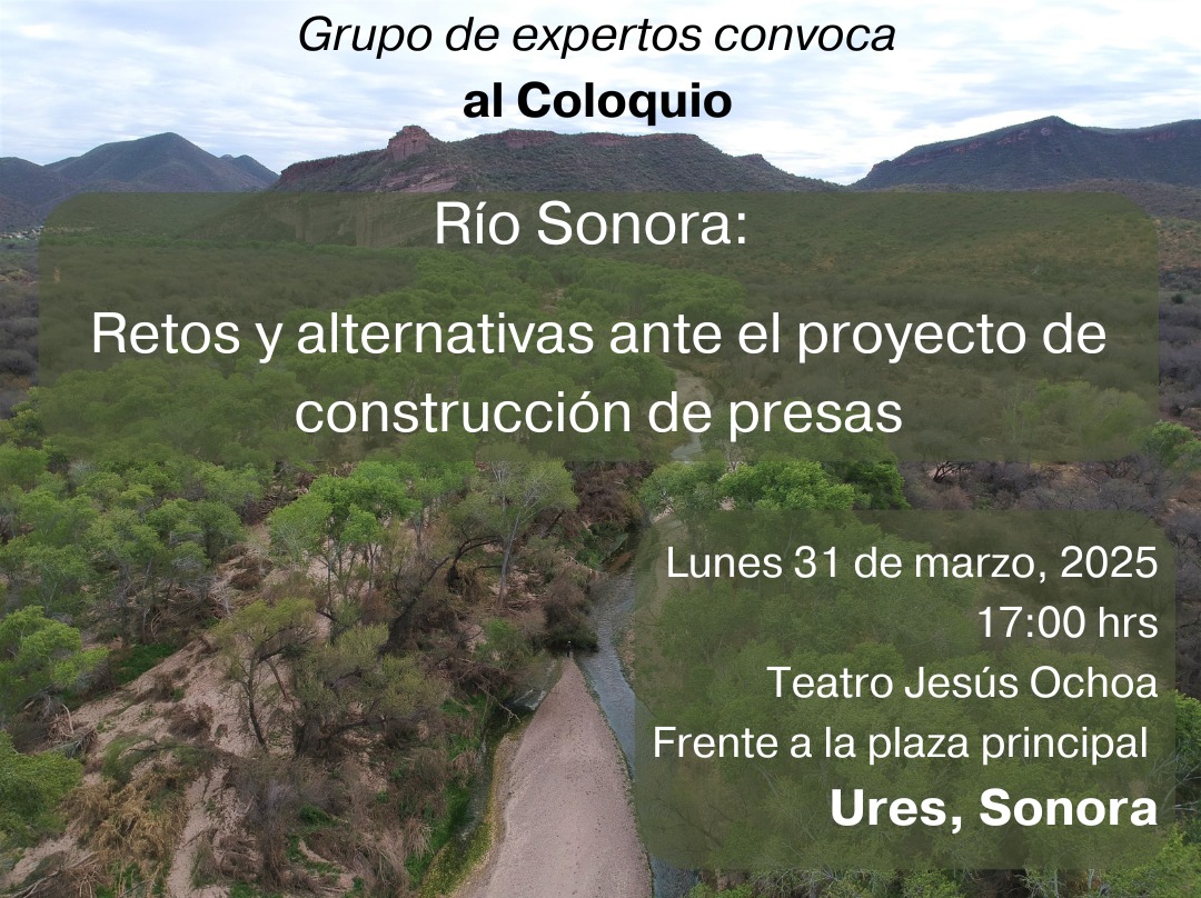 WhatsApp Image 2025-03-26 at 13.28.42