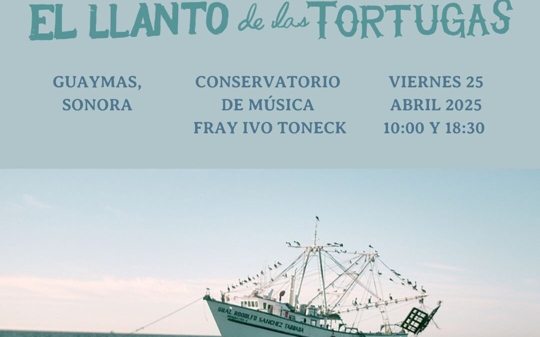 El llanto de las tortugas llegará a Guaymas