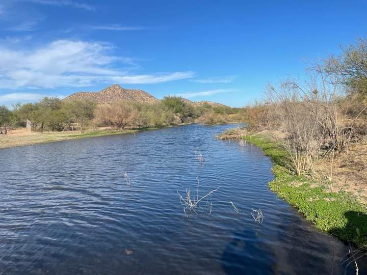 Conceptos necesarios para entender la gestión de cuencas desde un enfoque ecosistémico