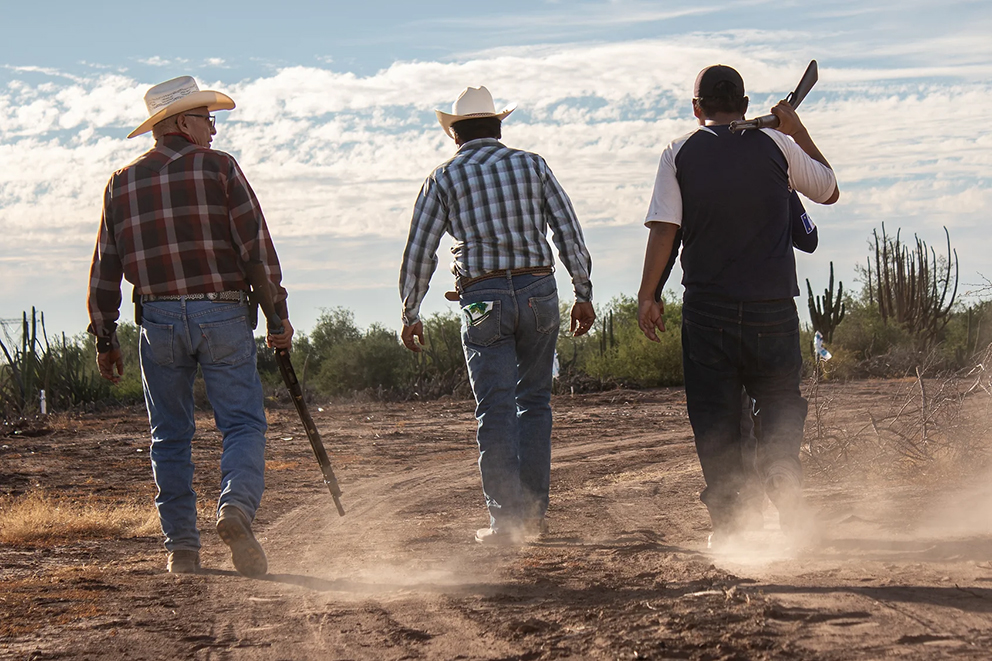 Aguas Revueltas: sequía y saqueo en México