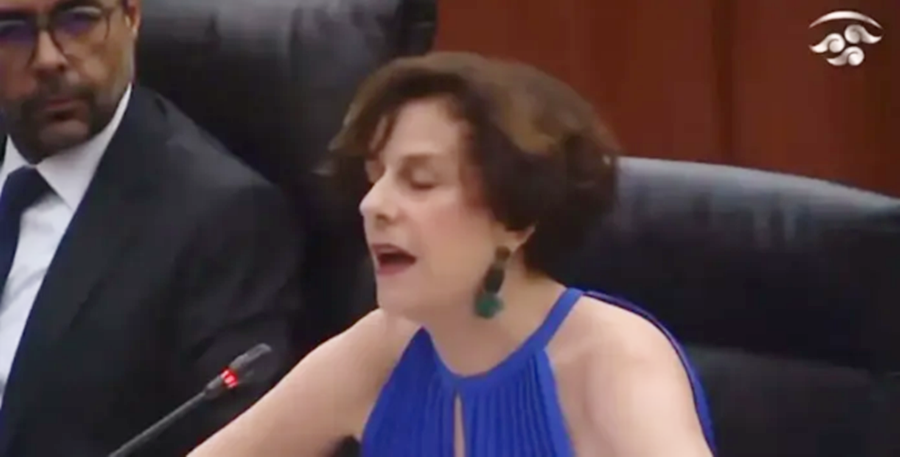 Le apagan el micrófono a Denise Dresser durante Foro sobre Ley de Telecomunicaciones en el Senado