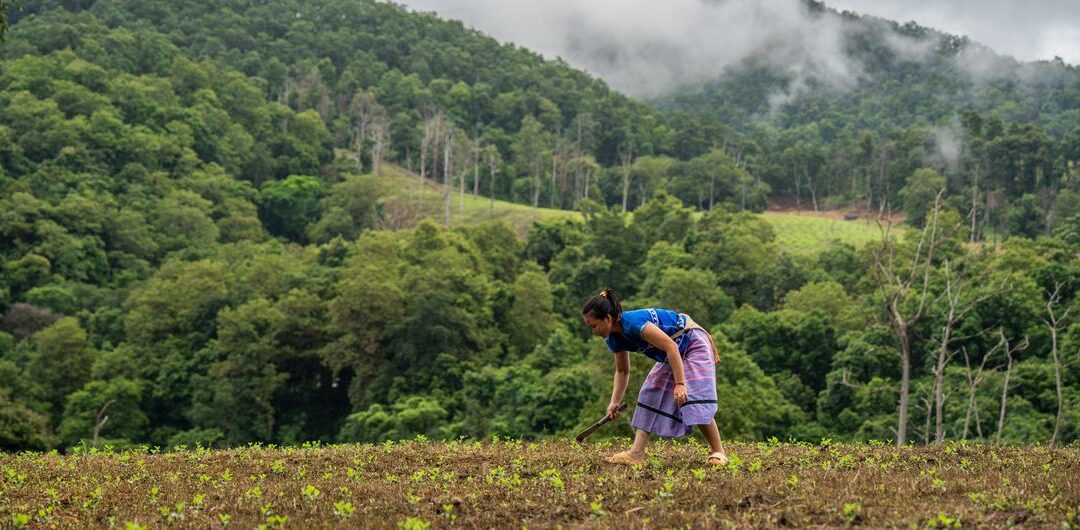 Las comunidades del norte de Tailandia anteponen la naturaleza a las ganancias