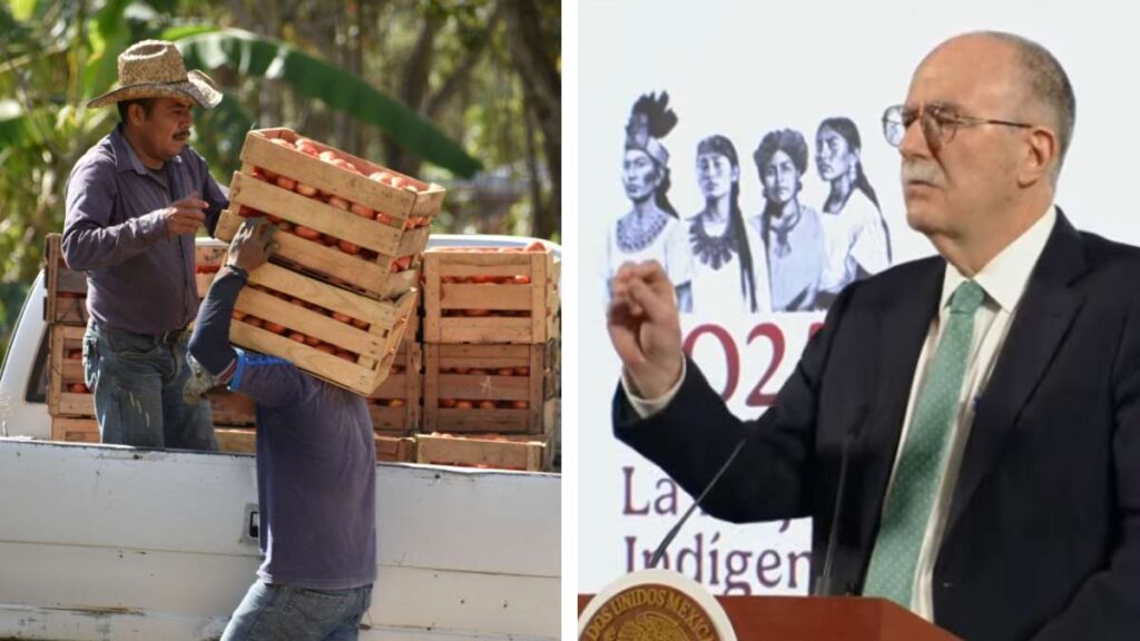 México y EE. UU. abren plazo de 90 días para evitar cuota al jitomate; “van a pagar más caro”: Agricultura