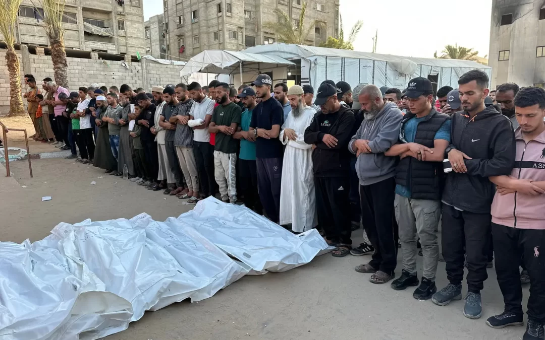 La violencia y sus reservas futuras