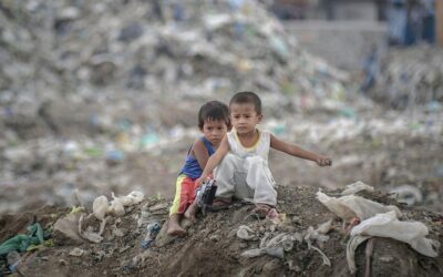 Más allá del antropoceno está el capitalismo verde