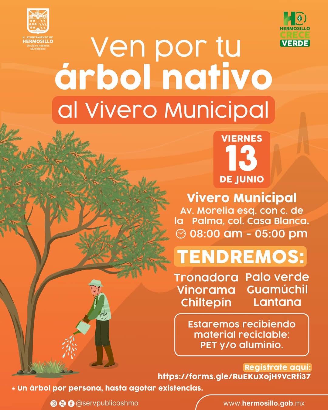 Ven por tu arbolito este viernes 13 al Vivero Municipal Donará Vivero Municipal más arbolitos nativos este viernes 131