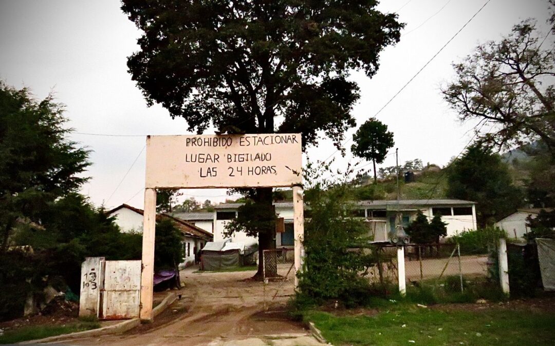 Nueve años sin tierra ni salud