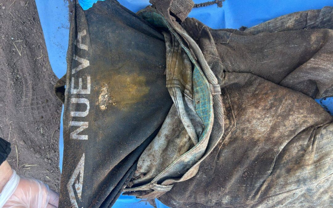 Investigan hallazgo de osamentas en el Valle del Yaqui tras reporte de colectivo de búsqueda