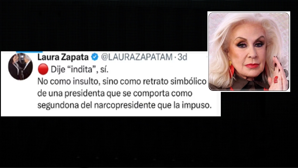 Laura Zapata podría enfrentar consecuenacias legales tras comentarios despectivos contra Sheinbaum
