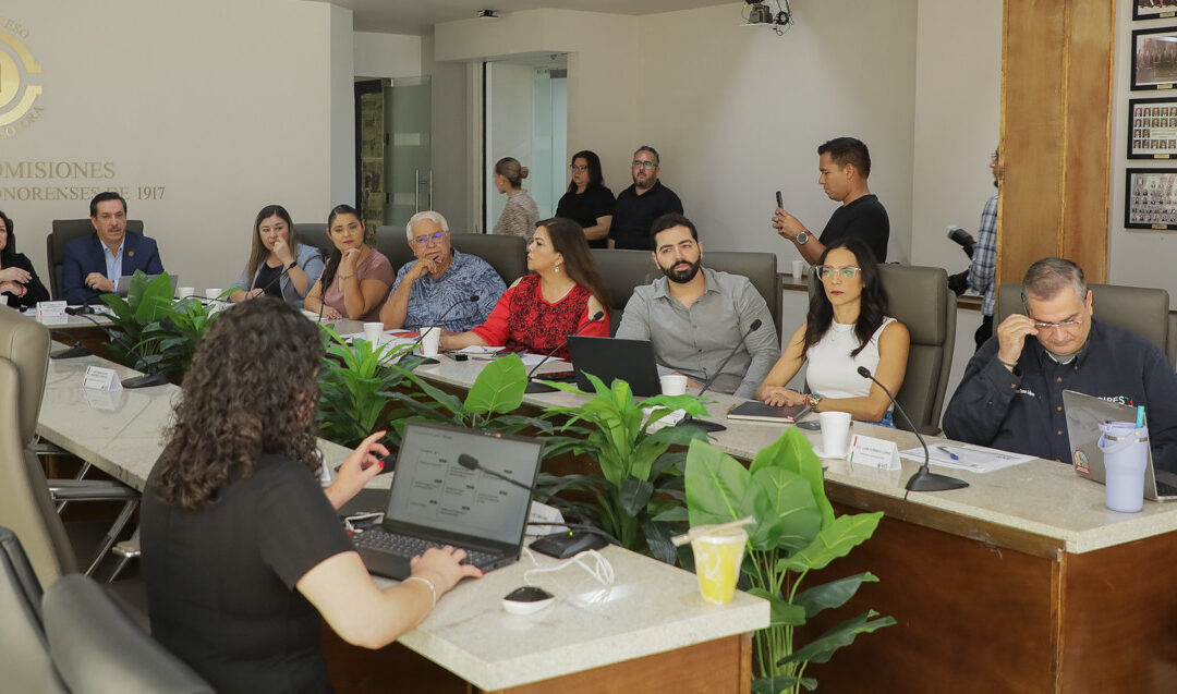 Tendrá el Congreso un página web más accesible a la ciudadanía